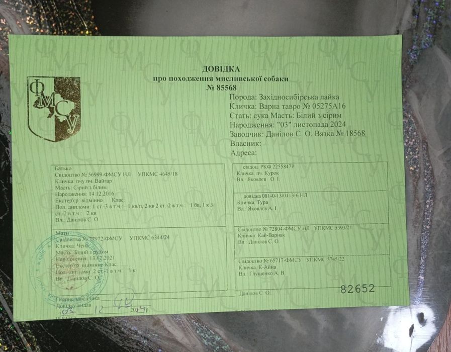 Продам щенков западносибирской лайки.