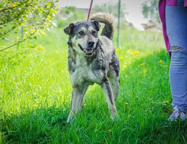 Amil czeka na domek!