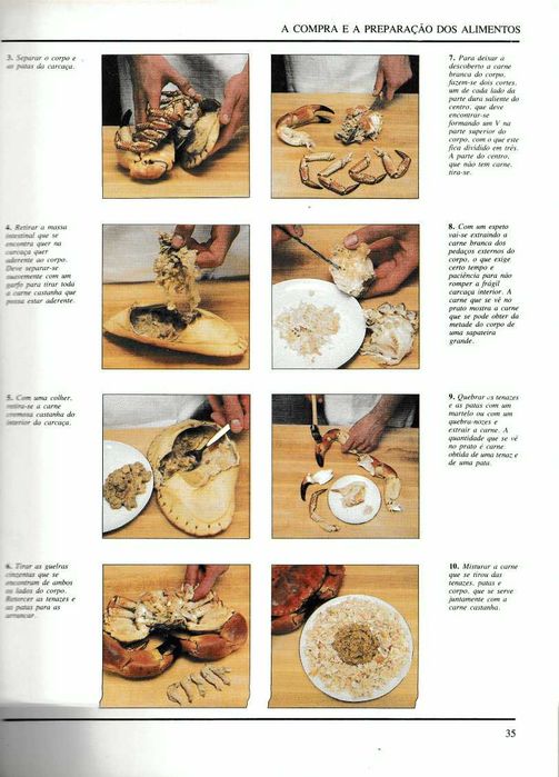 O grande livro ilustrado da culinária