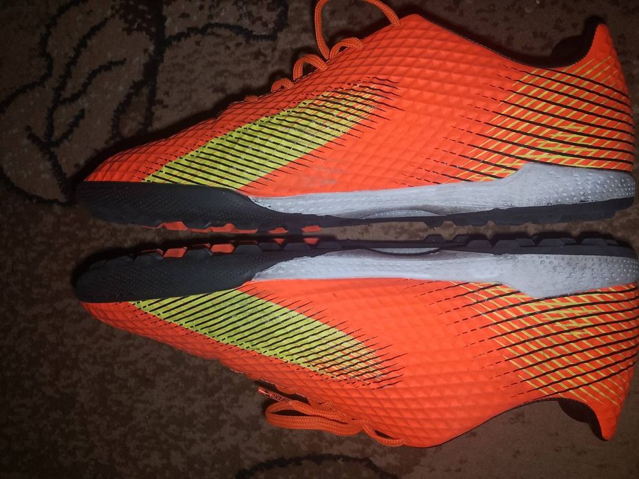 Сороканіжки  спортивні.  .