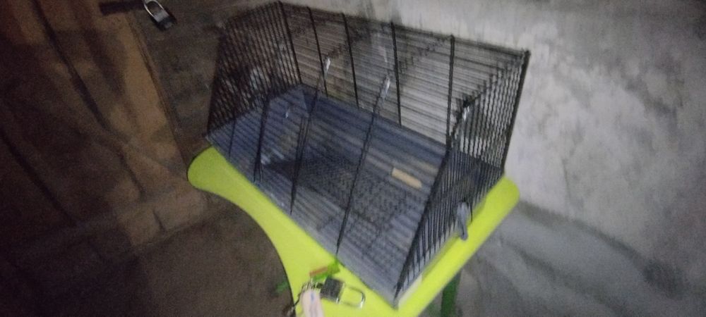 Велика клітка для гризунів