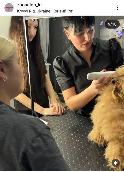 Курсы груминга  ! Базовый курс с нуля . НОВЫЙ СТАРТ 10.01