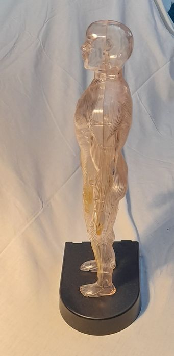 Homem de Plástico, figura com 41cm altura.