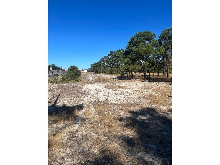 Terreno Urbano na Vagueira - Excelente Oportunidade de Investimento