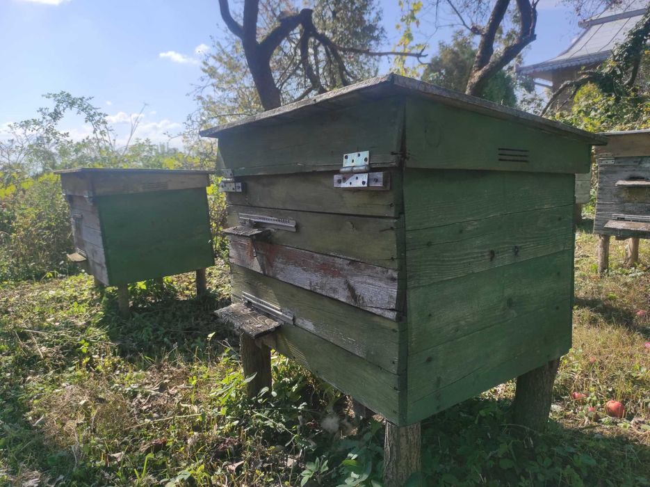 Вулики для бджіл