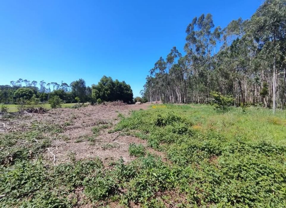 Arrenda-se Fantástico Terreno Agrícola