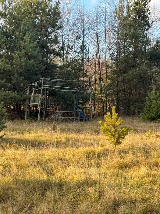 Земельна ділянка, с. Туринка