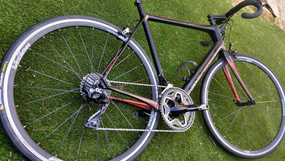 Focus Cayo Carbon t56