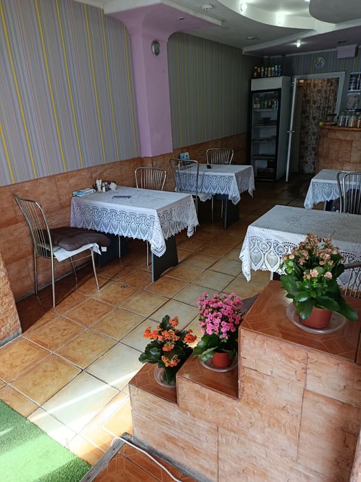 Готовий бізнес, кафе з мангалом, Лісовий масив