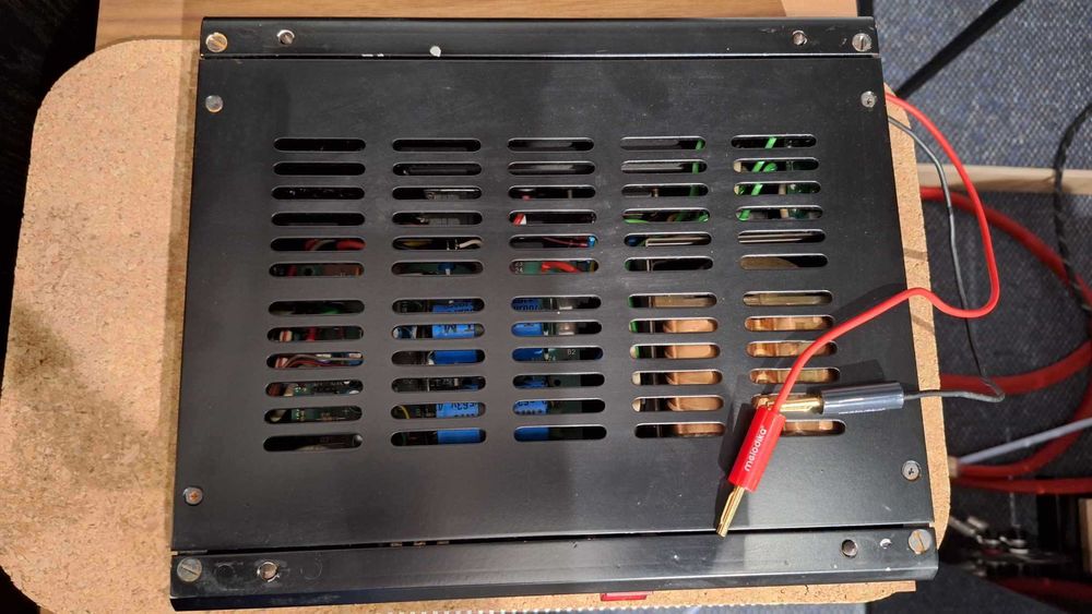 Końcówka mocy mono Fonia WG50 - 2 sztuki, analogowe ciepłe granie