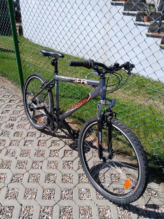 Rower Kross mtb collection hexagon v2, 26".