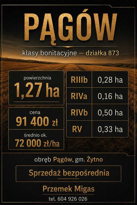 Pągów gm. Żytno - Działka rolna 1,27 ha – bezpośrednio - Widok 2