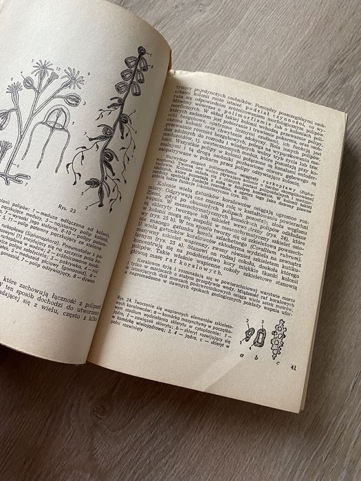 Zoologia ogólna .