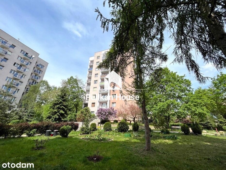 2 pokoje, loggia i ogródek 60m2