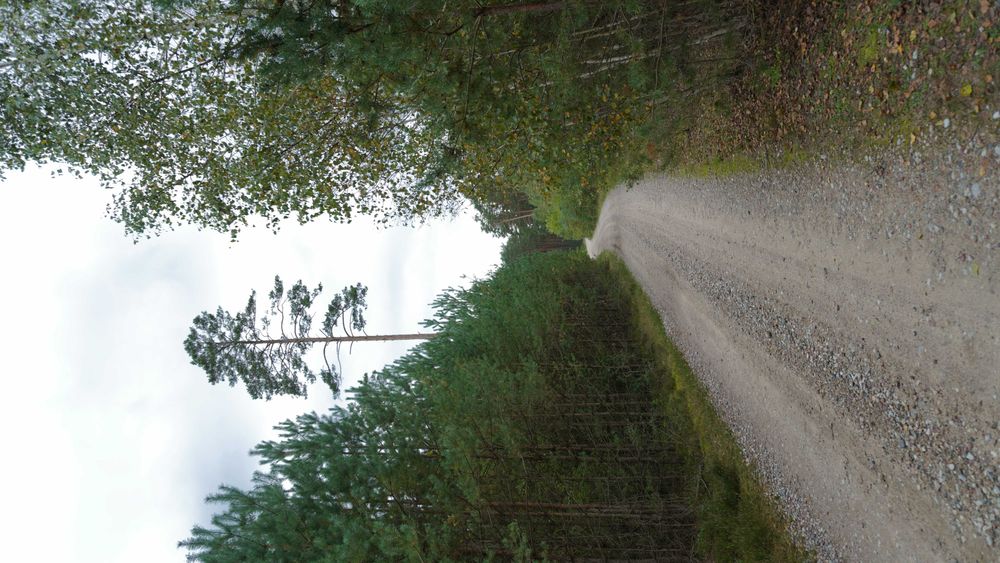 Malownicze działki budowlane Rogóźnia - Więcej
