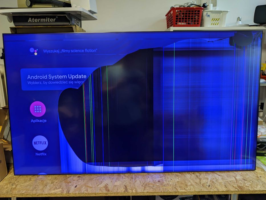 Profesjonalny monitor PHILIPS X-Line do ścian BDL558XC przemysłowy