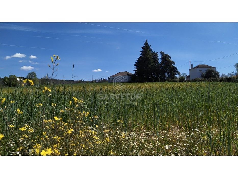 25-Hectare Estate - Belmonte - Castelo Branco