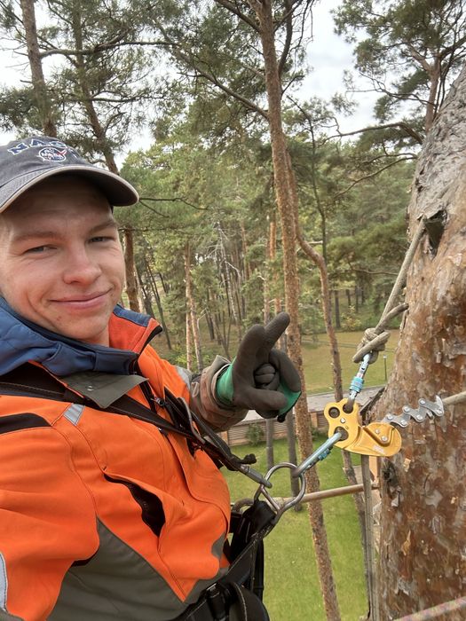 Професійне спилюванню проблемних дерев та вивіз й перевезення вантажу