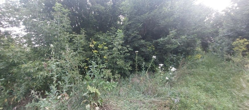 Продам земельный участок в Солоницевском ОТГ (п.Пересечное)