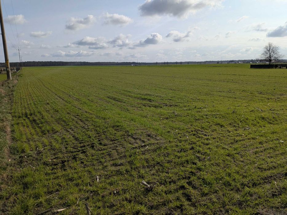 Działka budowlana 1000 m2 Woda Prąd Kan. Centawa k. Strzelec Opolskich