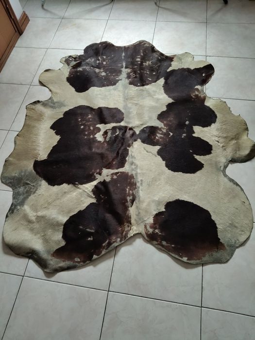 Carpete em bom estado