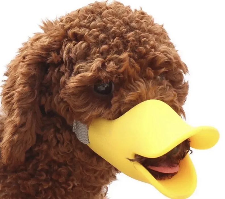 Намордник для маленькой собаки