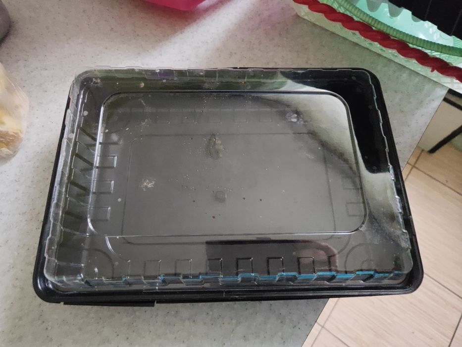 Контейнеры пищевые