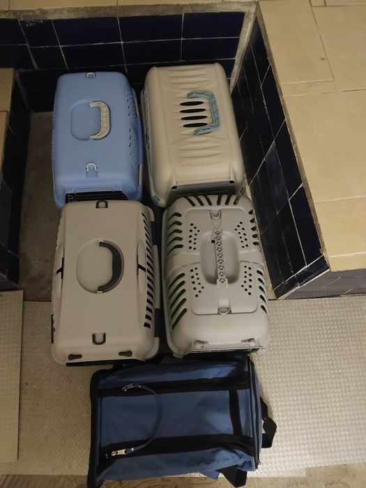 5 Transportadoras cão, gato ou exoticos