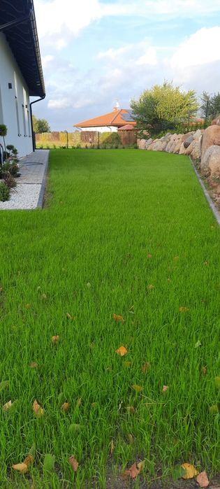 Glebogryzarka separacyjna przygotowanie  terenu pod trawnik