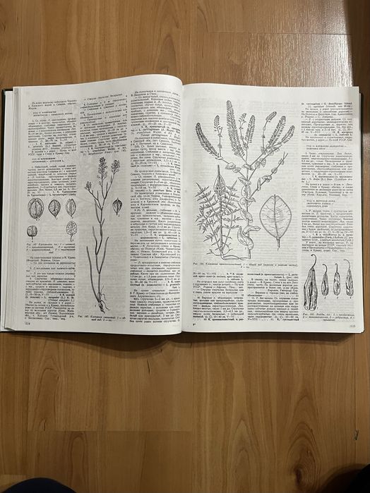 Определитель высших растений Украины