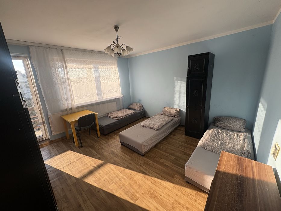dom hostel całość na wynajem