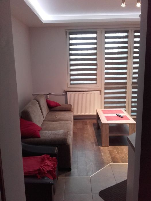 Kawalerka do wynajęcia