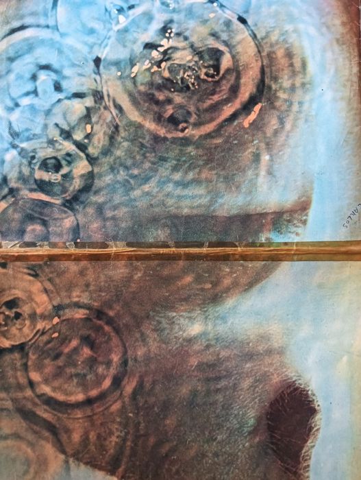 Pink Floyd LP.colecoes