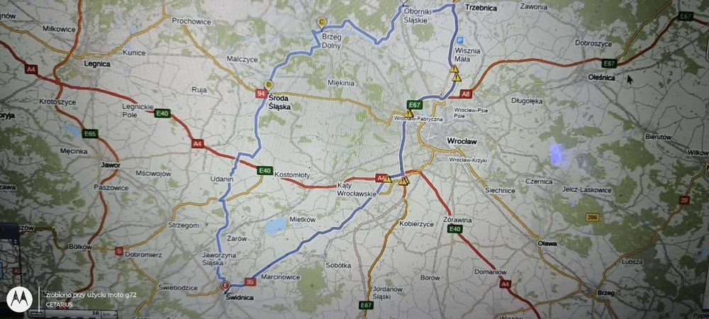 Ryby Neon czerwony tylko 2,50zł od 100szt. Cetarius