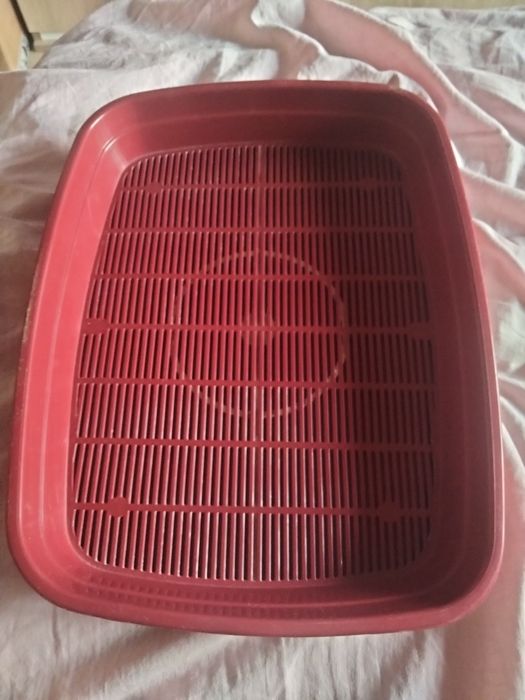 Лоток для  котів
