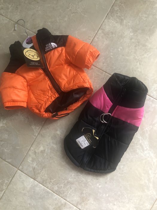 Одежда для собак