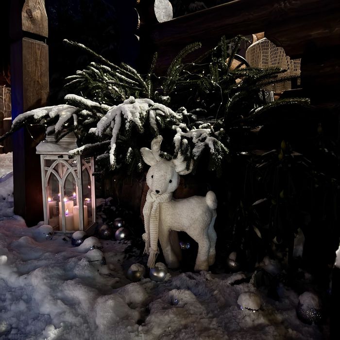 Затишний дерев'яний будиночок у тиші лісу на 6 гостей