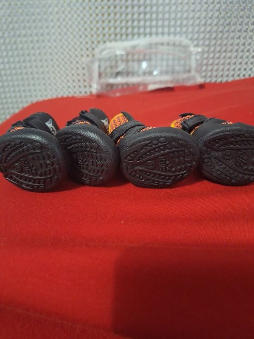 Обувь для собачек.