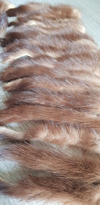 Норка хвостікі шкірка