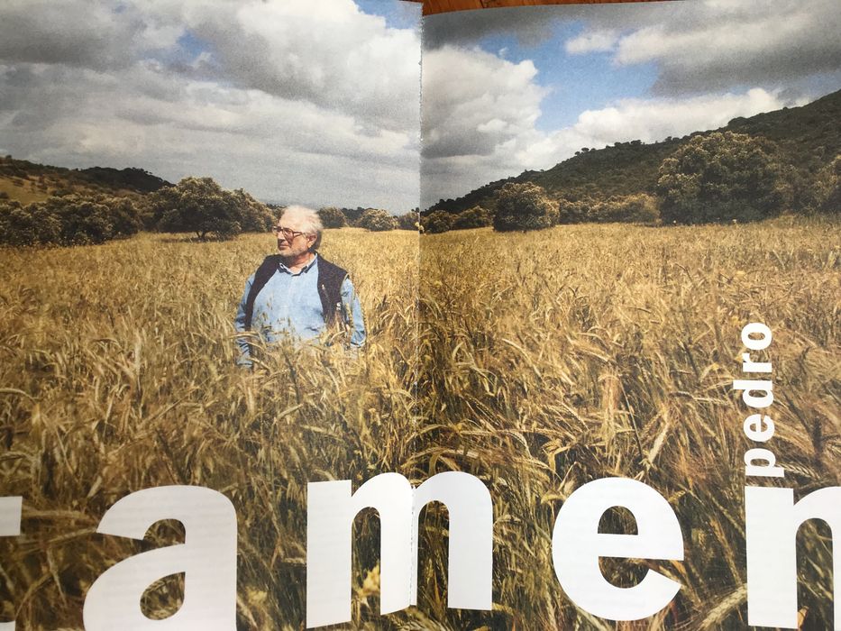 Vários números raros da revista Ler