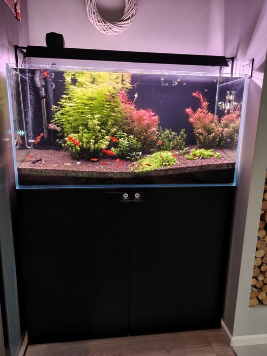 Akwarium 200L OptiWhite + Chihiros + CO2 + Bogate wyposażenie!