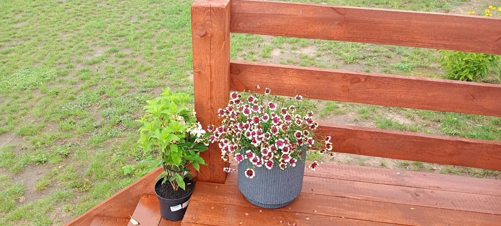 Domek Zacisze otulone słońcem