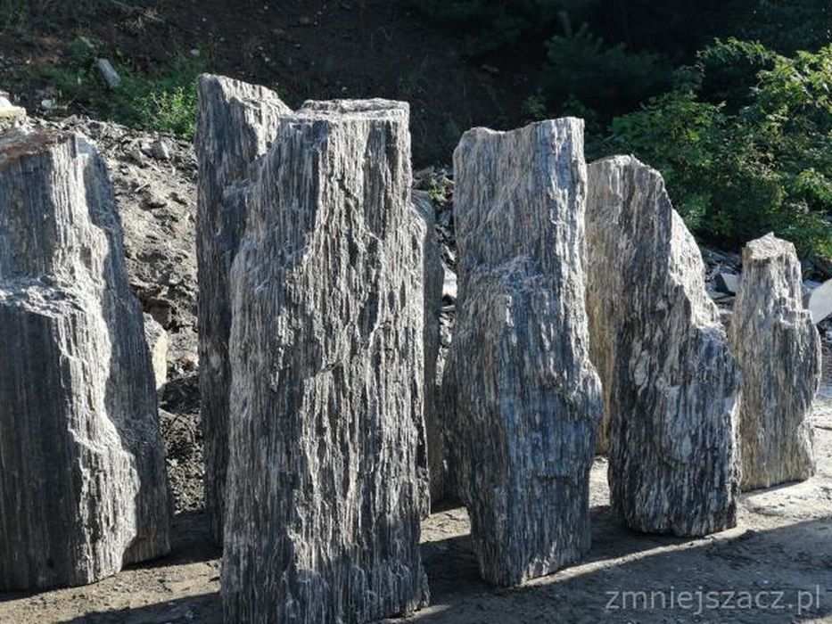 Kora kamienna  gnejsowa