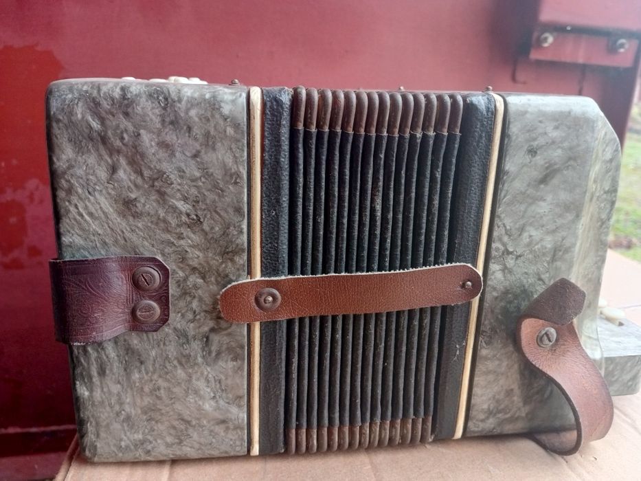 Гармонь гармошка Весна или Украина