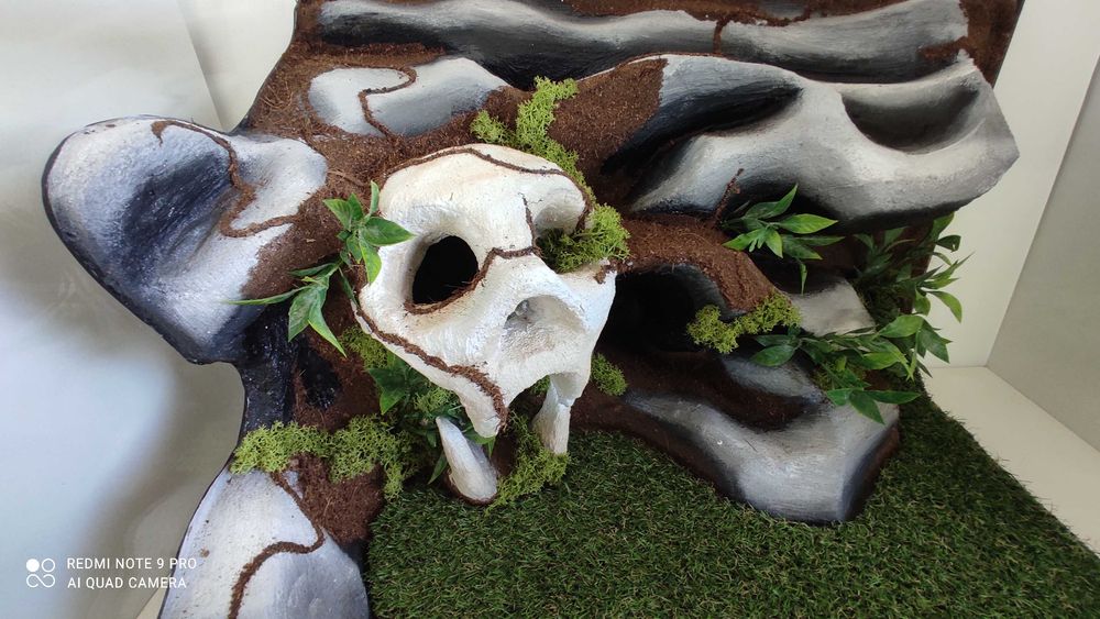 Terrarium dla węża zbożowego, regiusa, lamparta, TW25Cz