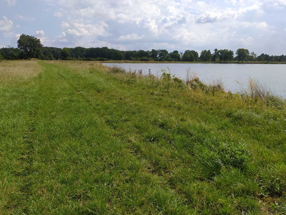 Działka budowlana nad jeziorem Żelazna