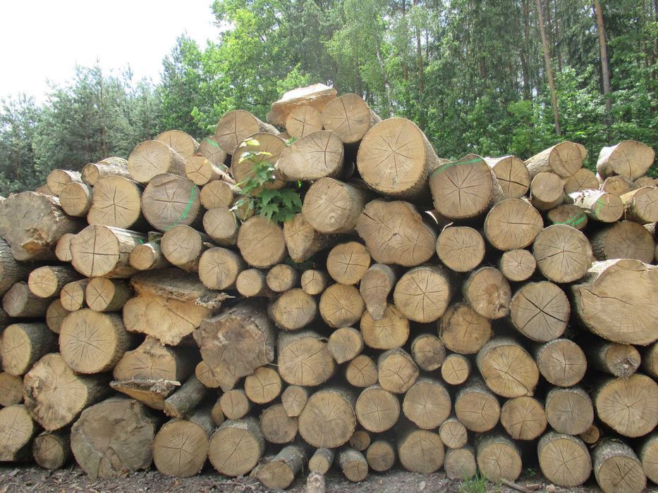 Metrówki opałowe, różne gatunki!