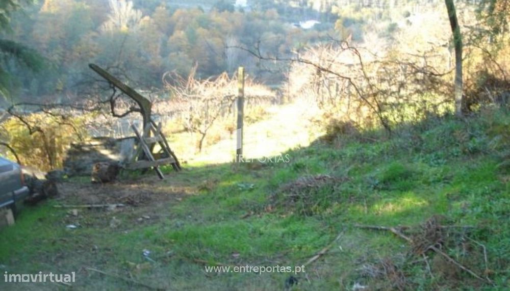 Venda Terreno, Santa Cruz do Douro, Baião — Ervedosa do Douro, Viseu