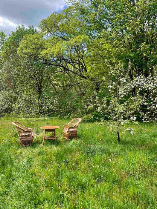 Відпочинок з можливістю лікування в приватному секторі с. Поляна
