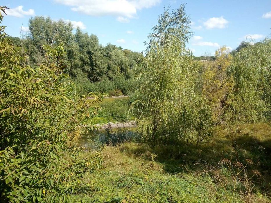 Продам маєток в Мотовилівський Слобідці (Фастівський р-н)!